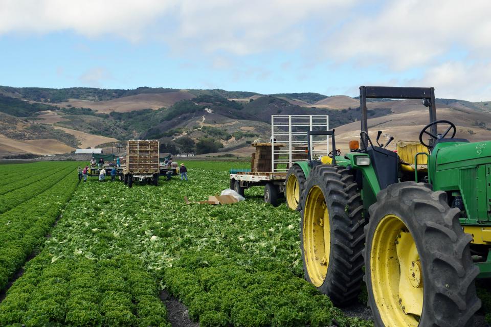 California farmland shutterbug